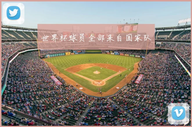 世界杯球员全部来自国家队