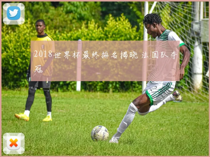 2018世界杯最终排名揭晓 法国队夺冠