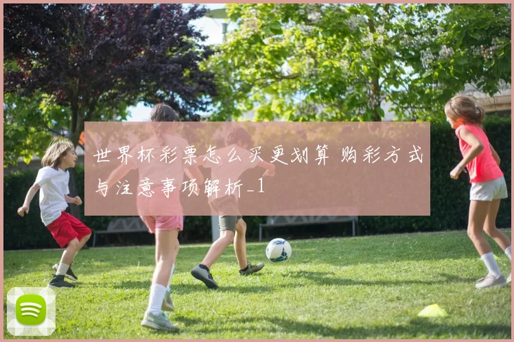 世界杯彩票怎么买更划算 购彩方式与注意事项解析_1