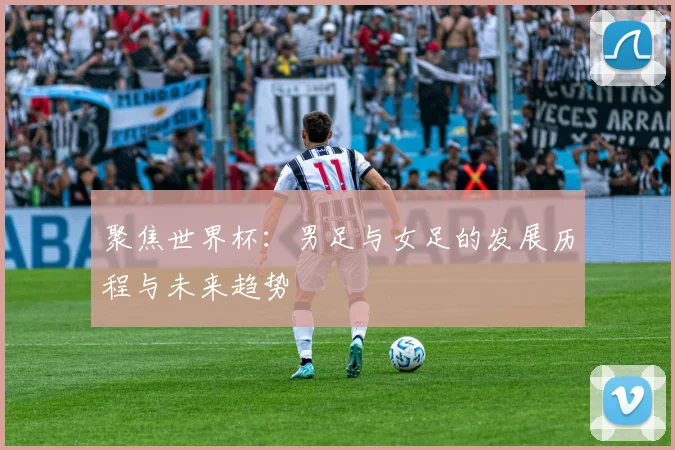 聚焦世界杯：男足与女足的发展历程与未来趋势