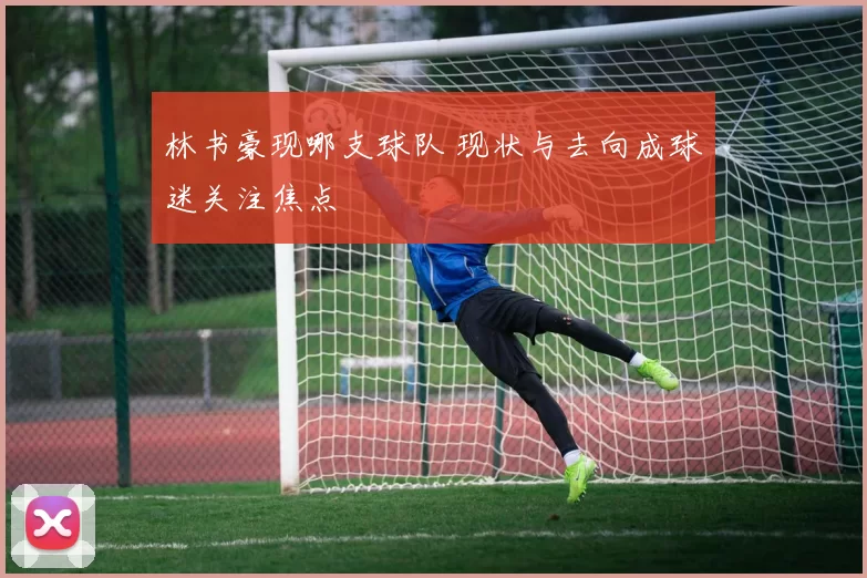 林书豪现哪支球队 现状与去向成球迷关注焦点