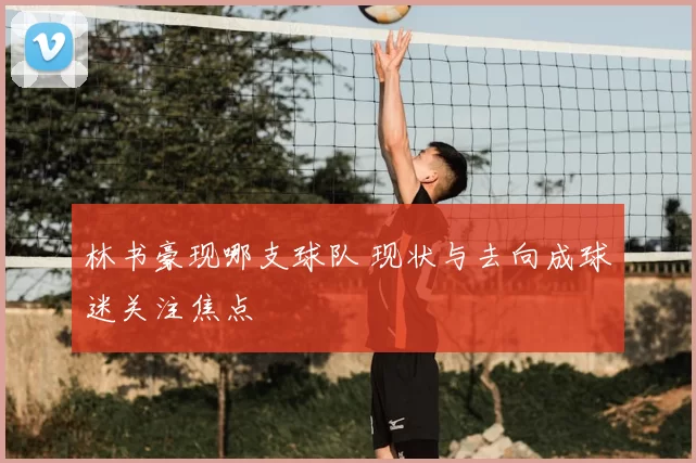 林书豪现哪支球队 现状与去向成球迷关注焦点