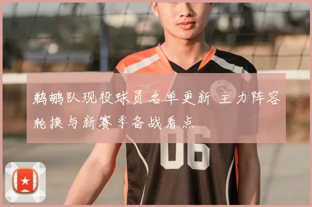 鹈鹕队现役球员名单更新 主力阵容轮换与新赛季备战看点