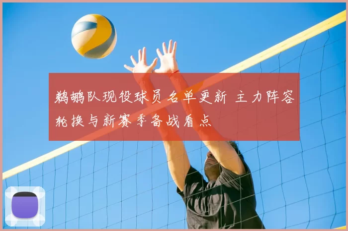 鹈鹕队现役球员名单更新 主力阵容轮换与新赛季备战看点
